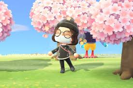 Use pngtree to find free download succinct cherry blossom photography png transparent background like sakura,cherry blossom photography,cherry blossoms transparent. Animal Crossing New Horizons Cherry Blossom Season Ends Soon Polygon