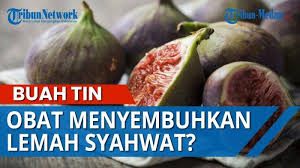 Original posted by sorra1991► setelah cek pejwan ternyata memang tidak ada, jadi ini saya copy lg dari part i : Ulasan Buah Tin Bisa Meningkatkan Keperkasaan Pria Memicu Gairah Seksual Dan Obat Lemah Syahwat Tribun Medan