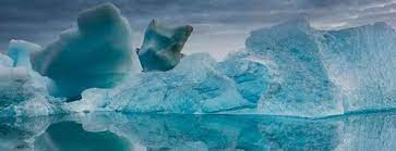 În ultima perioada nu am mai postat nimic nou,dar nu înseamnă că nu am mai creat nimic! La Atelierul De Creatie Copii Au Realizat Fluturi Buburuze Si Albine Din Materiale Refolosibile Daca Brainly Ro