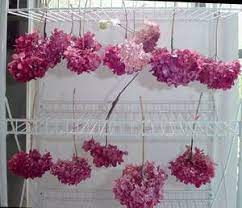 Pin On Ideas I Like