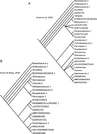 Finding a good roofing company to maintain your roof is a daunting task. Phylogeny And Systematics Of Squamata Reptilia Based On Morphology