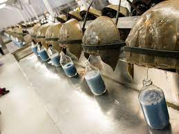 The Race For A Coronavirus Vaccine Runs On Horseshoe Crab Blood Smart News Smithsonian Magazine
