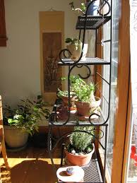 Maybe you would like to learn more about one of these? Growing Herbs Indoors