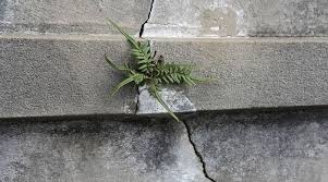 This will remove old stucco, paint, and other debris from the cracks and will allow the patching material to bond tightly to the damaged area. Stucco Crack Repair Explained By Professional Stucco Contractors