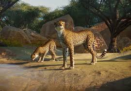 Zoopedia Planet Zoo Zoo Creatures Zoo Animals Zoo
