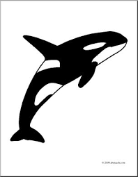 The killer whale or most common called orca is a toothed whale belonging to the oceanic dolphin family, of which it is the largest member. Clip Art Whale Killer Whale Coloring Page I Abcteach Com Abcteach