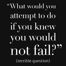 What Would You Do If You Knew You Could Not Fail Terrible Question Mike Goncalves