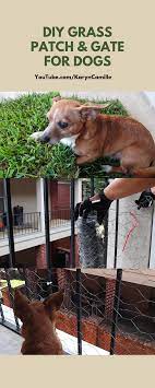 Mini Balcony Yard For Pets Ideal For Apartments And Houses Dog Fence Balcony For Dogs Apartment Dogs