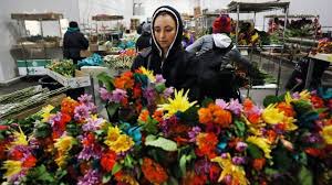 Miami's premier artistic floral studio & event styling boutique since 2011. Miami S Flora Logistics A Major Player In Shipping Flowers And Produce Miami Herald