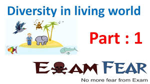 Biology Diversity In Living World Part 1 Introduction Cbse Class 11 Xi Youtube