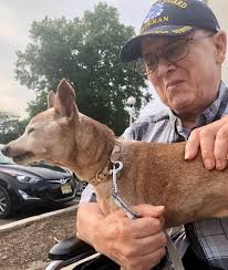 Obituary for Luis E. Baez, Sr.