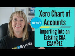 Xero Chart Of Accounts Importing Into An Existing Chart Of Accounts Example