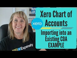 xero chart of accounts importing into an existing chart of accounts example