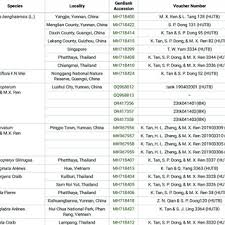Image result for Flabellariopsis acuminata