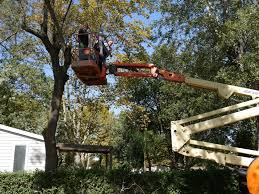 Ses habitants sont appelés les argelésiens. Prevision Meteo Argeles Plage Nachrichten Camping In Argeles In Der Nahe Der Strande Des Mittelmeers Vermietung Von Wohnmobilen Und Stellplatze Argeles Sur Mer France Camping Europe