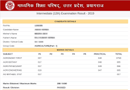 The uttar pardesh madhyamik parishad (upmsp) will announce the up board class 10th and 12th results today at 3:30 pm. Up Board 12th Result 2020 Up Board Intermediate Result Date Board Result Up Board Result Result Date