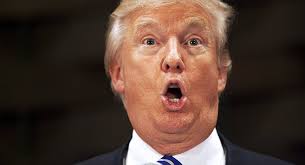 Résultat de recherche d'images pour "donald trump"