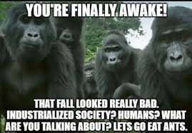 We did not find results for: You Re Finally Awake Meme Let S Go Eat Ants Keep Meme