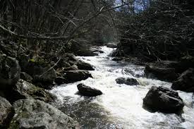 Great outdoors rv resort franklin nc. The Great Outdoors Rv Resort The Dyrt