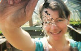 Reversing the Decline of Insects