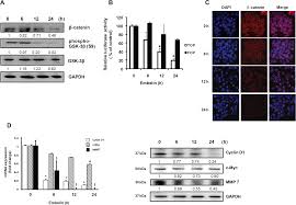 Diagnosis and survival prostate cancer is the most commonly diagnosed type of cancer in the us (excluding skin cancer), and the second leading cause of cancer in men worldwide. Plos One Embelin Induced Apoptosis Of Human Prostate Cancer Cells Is Mediated Through Modulation Of Akt And B Catenin Signaling