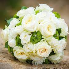 We did not find results for: Bulk Flowers Wedding Flowers Wholesale Flowers Roses Alstroemeria Sunflowers Carnati Wedding Flower Packages Wedding Flowers Flower Bouquet Wedding