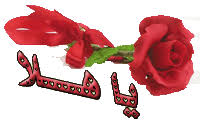 pin on ترحيب بأصدقاء جدد