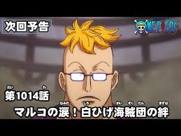ONE PIECE 第1014話予告「マルコの涙！白ひげ海賊団の絆」