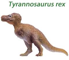 Well look no further our model will walk with you. Pin On Pnso Age Of Dinosaurs
