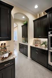 Dark cabinetry can be matched with colorful countertop or island. 26 Kitchen Decor You Should Keep Kitchen Kitchencabinets Bathroom Masterbath Dark Brown Cabinets Kitchen Design Brown Kitchen Cabinets