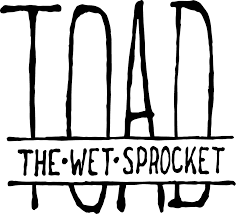 Toad The Wet Sprocket New Constellation Toad The Wet Sprocket Funny Band Names Music Concert