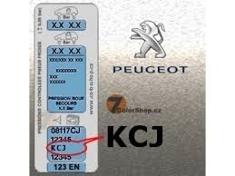 Image result for Beige Siwa 2014 Peugeot