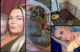 Woman who locked her staffy dog in a cold utility room leaving him to die  hungry, frightened, alone and in pain has avoided a prison sentence. Hannah  May Smith, 28, previously of