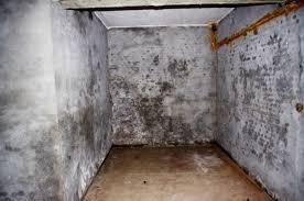 Check spelling or type a new query. Basement Waterproofing How To Make The Inside Of The Groundwater Internal Vertical Penetrating Insulation For Walls And Floors
