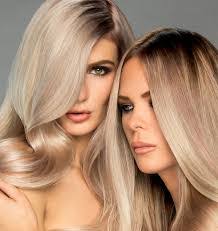 Wendy Towle's Instagram, Twitter & Facebook