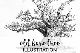 Download your collections in the code format compatible with all browsers, and use icons on your website. Tree Clipart Black And White Bare Tree 199704 Illustrations Design Bundles