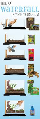 Here Are 6 Easy Steps To Build A Diy Waterfall In Your Terrarium 1 Put Water Pump At Bottom Of Your Terrarium 2 Ad Reptile Terrarium Terrarium Diy Waterfall