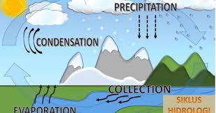 Siklus air merupakan fenomena yang terjadi setiap hari. Siklus Hidrologi Pengertian Daur Pendek Dan Panjang Lengkap Dengan Komponen Serta Gambar