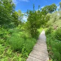 1830 als lehreinrichtung der forstakademie gegründet. Forstbotanischer Garten Eberswalde 1 Tip