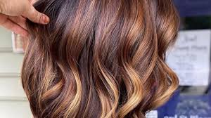 41 Brown Balayage Hair Colors For Sun-Kissed Dark Hair