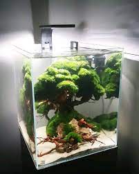 ancient tree ini nano tank 30 x 30 x 25 cm video aquarium cool fish tanks betta aquarium