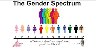 Algunas personas tienen un género que combina elementos de ambos, o bien no se identifican con ningún género. Nadie Es Binario Tribuna Feminista