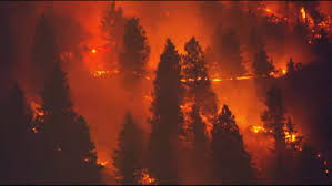 Severe trial or ordeal he had proved himself. Columbia Gorge Fire Grows To 970 Acres 10 Contained Ktvz