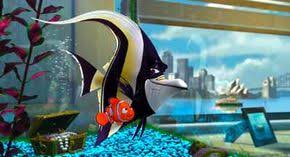 Everyone gets an interactive script and a bag filled with props and snacks. The Settings Of Finding Nemo Howstuffworks