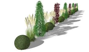 Sichtschutzkombinationen Bepflanzung Garten Garten Pflanzen
