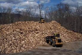 Home forums > the tool shed > chainsaws and power equipment. Homepage Firewood Hoarders Club