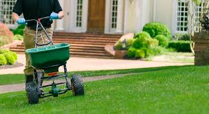 We are fully insured and licensed. Best Weed And Feed For Southern Lawns Review Lawncare