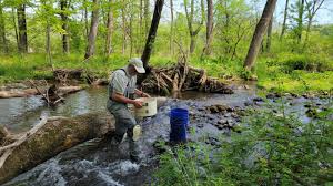 Image result for tbn:rrlNUrrVRKMcnM::www.swahl.com/photo/data/media/37/photo29-0003.JPG