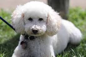 Around the Ring Photos- EOQHA Summer Sizzler