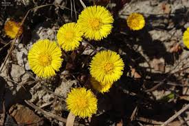 У цей день світова спільнота відзначає міжнародний день брата і 10 квітня увійшло в історію завдяки наступним відомим подіям: O8thtccuggdhhm